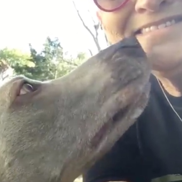 Meet your Buyer/Seller! - Picture 11 of 14